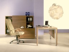 Мебель для руководителя бизнес класса